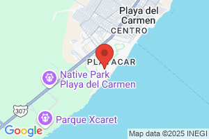 HOTEL RIU PLAYACAR