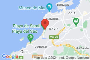 Palmera PLaya Palmera PLaya