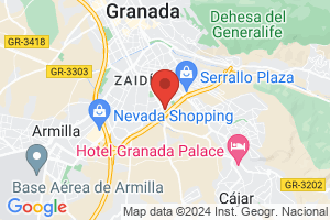 abades nevada palace